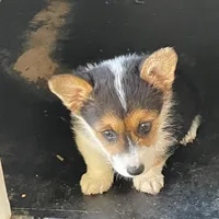 processed/9b60cb87-a040-49aa-b360-c9a449b1f5c4/facility/1172ee46-024a-4bd2-9b9f-ecc913fc34e7