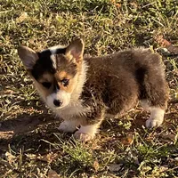 processed/9b60cb87-a040-49aa-b360-c9a449b1f5c4/facility/1218eac9-9bd0-4464-8c1a-b84905bb64af