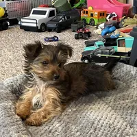 processed/9b60cb87-a040-49aa-b360-c9a449b1f5c4/facility/21c7f85c-5520-4f51-9959-e84317d91587