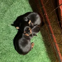 processed/9b60cb87-a040-49aa-b360-c9a449b1f5c4/facility/3e41432b-dec9-4843-bbe5-86f3762f3879