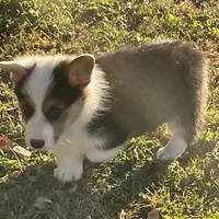 processed/9b60cb87-a040-49aa-b360-c9a449b1f5c4/facility/5d258db6-675f-45d2-abbc-dbddd2ee51b1