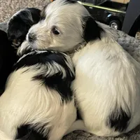 processed/9b60cb87-a040-49aa-b360-c9a449b1f5c4/facility/6b801f69-ffbd-40b0-97da-fa85a2680af2