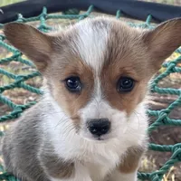 processed/9b60cb87-a040-49aa-b360-c9a449b1f5c4/facility/6f52c6bf-6b3e-4b6e-8754-77645bf0eac0