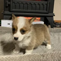 processed/9b60cb87-a040-49aa-b360-c9a449b1f5c4/facility/c6b7ef3c-7c37-4cdd-b156-06cfd255c2f8