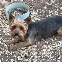 processed/9b60cb87-a040-49aa-b360-c9a449b1f5c4/facility/f6f08e73-da22-4c14-91fe-b2a68e8a4ff3