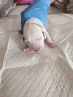 processed/9b6af1f3-2240-4b0e-8937-53b5ae0a16e9/listing/0f0d9d48-e74a-4aef-94f6-54a0ddb49af7/e5be69a6-05ad-415f-9bb6-13e9c03ce796