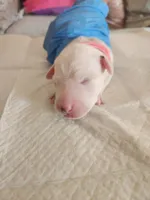 processed/9b6af1f3-2240-4b0e-8937-53b5ae0a16e9/listing/1bc63e5d-586d-4004-9fb3-132de1105176/0eefda30-821e-4a30-8595-20a571b21b06