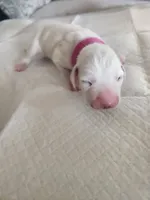 processed/9b6af1f3-2240-4b0e-8937-53b5ae0a16e9/listing/1bf3a7f0-6b07-4cd6-9ca4-df747804a725/ca9152ee-9d2c-4a0c-abe5-48987907d691