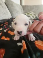 processed/9b6af1f3-2240-4b0e-8937-53b5ae0a16e9/listing/2170e004-cf9e-473a-9367-7f12fe05d69e/92df1d76-fae7-44b7-b0f7-b57d4277eed1