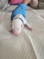 processed/9b6af1f3-2240-4b0e-8937-53b5ae0a16e9/listing/7c6f5caa-80e5-4f4f-9dd9-7265a96a8484/606ff592-34b7-4fe9-915d-eb70f1d31c45