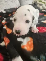 processed/9b6af1f3-2240-4b0e-8937-53b5ae0a16e9/listing/7c6f5caa-80e5-4f4f-9dd9-7265a96a8484/a1a69860-98b9-457f-9ac3-f93a3ba4dffe