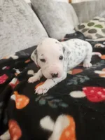 processed/9b6af1f3-2240-4b0e-8937-53b5ae0a16e9/listing/8621163b-8dba-42ee-bf55-78e9ab489c7c/d04a62b2-8930-4071-bab9-a1511727f1f9