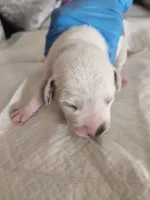 processed/9b6af1f3-2240-4b0e-8937-53b5ae0a16e9/listing/b628bb95-387f-45fb-8371-cb89f519f948/b64f8ac8-3563-4829-9900-cfba21a01181