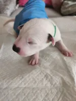 processed/9b6af1f3-2240-4b0e-8937-53b5ae0a16e9/listing/d1fce66c-aeda-4d4c-85d0-84d39f57fdcc/068319c5-28de-4cbf-9688-556d2070b8fc