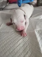 processed/9b6af1f3-2240-4b0e-8937-53b5ae0a16e9/listing/d67283ba-7d13-4e9a-9d68-03c39abbfcc1/de68b609-dbeb-4def-a028-81fb7fdb2af5