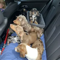 processed/9b6b2283-e4fb-453b-b255-c0712804bfbf/facility/3df13b89-042d-4a7d-a35f-cc7095e13032