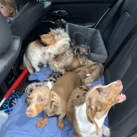 processed/9b6b2283-e4fb-453b-b255-c0712804bfbf/facility/9ef38542-42f0-4ef3-abb9-cef7a216e7cd