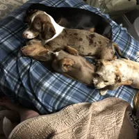 processed/9b6b2283-e4fb-453b-b255-c0712804bfbf/facility/b8b181ed-e225-43ab-af02-0fe705b5d863