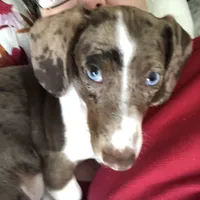 processed/9b6b2283-e4fb-453b-b255-c0712804bfbf/facility/d5c6a268-4a3b-4862-ac43-4b8ece8366ca