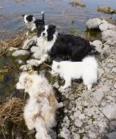 processed/9b7d9b1a-2c32-4d3e-8e95-971e1c6d1c5d/facility/755cc6a5-7a6d-4b9a-8377-83cf71c235a7