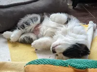 processed/9b7d9b1a-2c32-4d3e-8e95-971e1c6d1c5d/facility/b95fc125-d143-4335-80c6-56fb1ebb238a