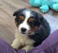 processed/9b7d9b1a-2c32-4d3e-8e95-971e1c6d1c5d/facility/cf739fd8-53c6-439f-b02f-e6e6b796a779