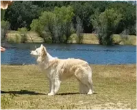 processed/9b7d9b1a-2c32-4d3e-8e95-971e1c6d1c5d/facility/dd8a388f-8d4d-4add-b298-0763041d3a8d