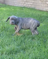 processed/9b86e459-e2c5-45a0-9fcb-5466633756fb/listing/410523ba-76a1-4ade-ac63-343715c1b57b/b92fc8da-0243-4d34-8cde-fbcfbea96e67