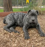 processed/9b86e459-e2c5-45a0-9fcb-5466633756fb/listing/410523ba-76a1-4ade-ac63-343715c1b57b/ed21b057-f2e4-4679-934a-6a49c66c7c8c