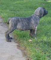 processed/9b86e459-e2c5-45a0-9fcb-5466633756fb/listing/410523ba-76a1-4ade-ac63-343715c1b57b/f6d34638-1f39-44aa-ab49-29624c768383