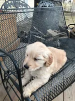 processed/9b8af134-6b3c-4ac6-b7d6-63a10d06afe7/listing/1d9c4379-30b7-483a-b009-7bf4468fe17a/f2eca60e-00ff-4fea-880f-1a26e7d46912