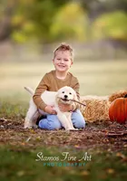 Leo, a male Golden Retriever for sale in Santa Fe, NM – Photo 1 of 2