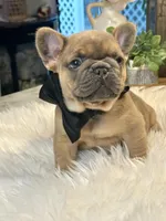 processed/9b8cb058-f83f-4593-a5de-8f7dd6fc1560/facility/90053781-95d7-4c16-a80a-22f0f42882fd