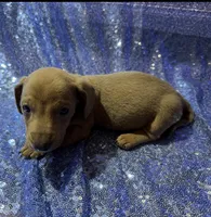 processed/9b90ec00-e626-48c2-b1d5-ea797847473f/listing/4167dddf-8955-41d8-9df7-4ad8dc35a899/40d7d63e-2124-4b42-9bec-c76b5132ae6c