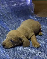 processed/9b90ec00-e626-48c2-b1d5-ea797847473f/listing/4167dddf-8955-41d8-9df7-4ad8dc35a899/6628d0c9-d8f3-4775-afea-66f5de906e27