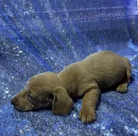 processed/9b90ec00-e626-48c2-b1d5-ea797847473f/listing/4167dddf-8955-41d8-9df7-4ad8dc35a899/80516c59-f997-42c9-bff6-29431ed19f4c