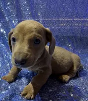 processed/9b90ec00-e626-48c2-b1d5-ea797847473f/listing/4167dddf-8955-41d8-9df7-4ad8dc35a899/823dcf47-82a9-4f1c-98ff-e06caf091d3f