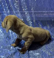 processed/9b90ec00-e626-48c2-b1d5-ea797847473f/listing/4167dddf-8955-41d8-9df7-4ad8dc35a899/bc9eea2c-b120-4bef-9e63-1d581e8087e3