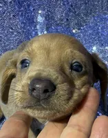 processed/9b90ec00-e626-48c2-b1d5-ea797847473f/listing/4167dddf-8955-41d8-9df7-4ad8dc35a899/bd4a70ae-71b2-4cd6-9ca7-6079bd8fa9d0