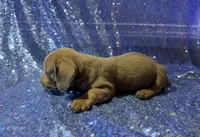 processed/9b90ec00-e626-48c2-b1d5-ea797847473f/listing/4167dddf-8955-41d8-9df7-4ad8dc35a899/f2e17994-9829-48fd-a4ae-25b985114b44