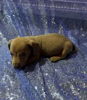 processed/9b90ec00-e626-48c2-b1d5-ea797847473f/listing/4167dddf-8955-41d8-9df7-4ad8dc35a899/fdf12dc8-dc3e-4bab-ae9f-6a6d879a234b