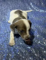 processed/9b90ec00-e626-48c2-b1d5-ea797847473f/listing/b165833a-dbfa-405a-98e7-07a364021abd/2b837f04-2ce2-4926-9478-fdbaf1efc3af