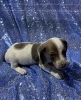 processed/9b90ec00-e626-48c2-b1d5-ea797847473f/listing/b165833a-dbfa-405a-98e7-07a364021abd/7c2881c6-7404-4660-b957-cea92f3de817