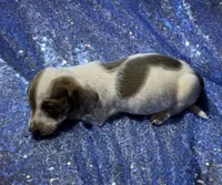 processed/9b90ec00-e626-48c2-b1d5-ea797847473f/listing/b165833a-dbfa-405a-98e7-07a364021abd/96b264bd-0fc7-43c9-86d6-d5a4f32ec09e