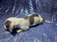 processed/9b90ec00-e626-48c2-b1d5-ea797847473f/listing/b165833a-dbfa-405a-98e7-07a364021abd/c23acd89-7a0e-4387-9774-e445a496a95e