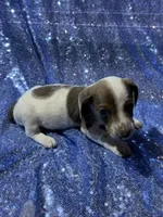 processed/9b90ec00-e626-48c2-b1d5-ea797847473f/listing/b165833a-dbfa-405a-98e7-07a364021abd/f13db4a0-9344-4354-b1a6-0e3841fddbfd