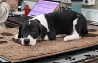 processed/9b93fd80-2a76-4b14-a8f2-6e598eedd12b/listing/3f9c5094-013c-48f8-a46e-5522dd242334/257e8380-8364-4b3c-8eaa-90e1ac223e2a