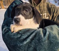 processed/9b93fd80-2a76-4b14-a8f2-6e598eedd12b/listing/3f9c5094-013c-48f8-a46e-5522dd242334/25be59aa-ac7c-4fc4-bf9b-380d0a47b178