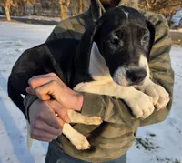 processed/9b93fd80-2a76-4b14-a8f2-6e598eedd12b/listing/3f9c5094-013c-48f8-a46e-5522dd242334/347eb098-9b91-469a-b2a6-cd24ea9a4f18