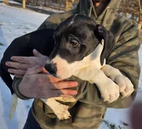 processed/9b93fd80-2a76-4b14-a8f2-6e598eedd12b/listing/3f9c5094-013c-48f8-a46e-5522dd242334/aaa9daf8-d504-4379-93ba-561513ff087f